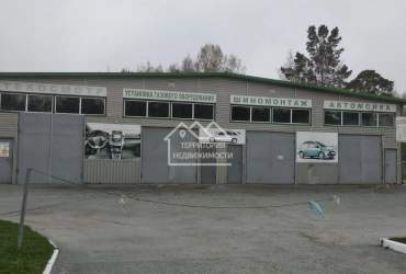 Торговое помещение 218 кв.м. Тавда